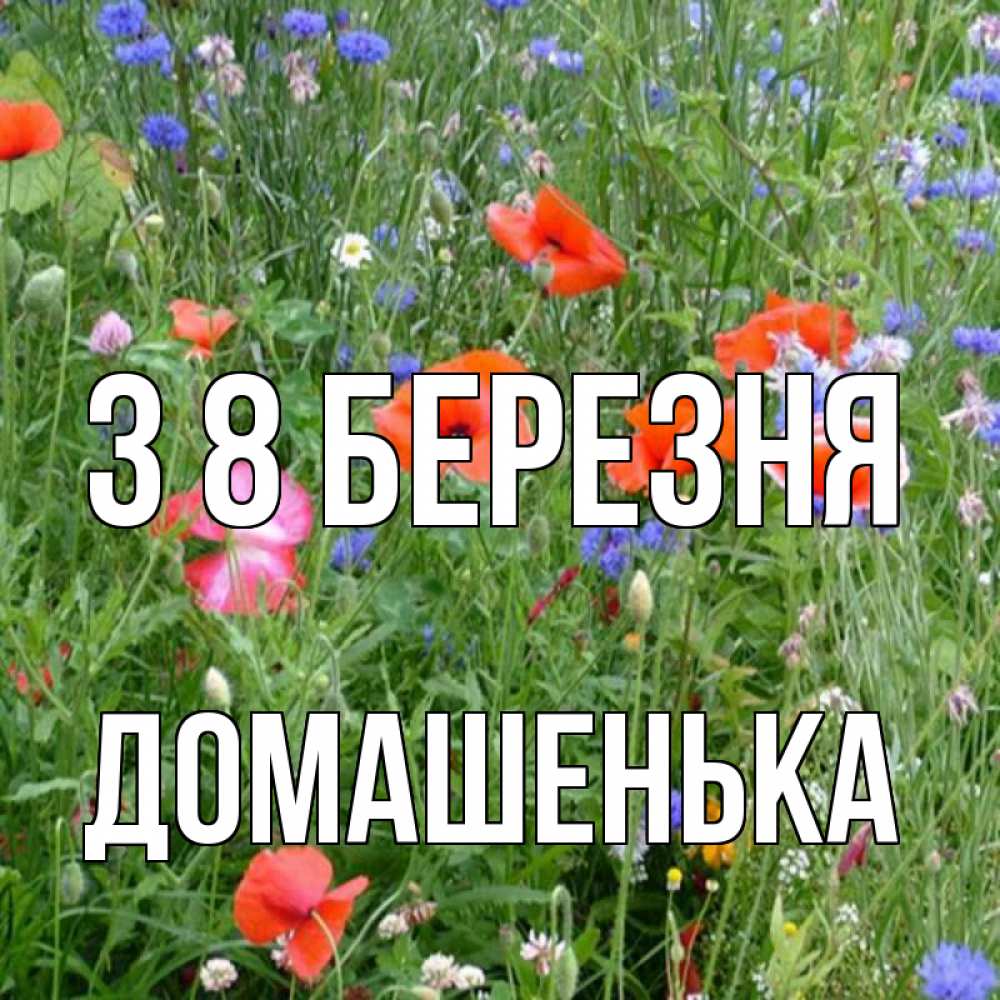 Открытка на каждый день з підписом, Домашенька З 8 БЕРЕЗНЯ международный женский день 4 Прикольна листівка з побажанням онлайн скачати безкоштовно 