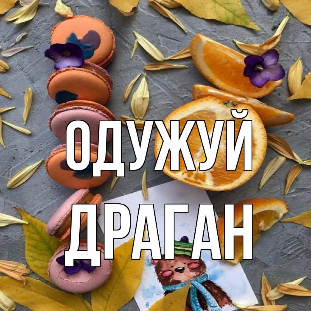 Открытка на каждый день з підписом, Драган Одужуй не болейте Прикольна листівка з побажанням онлайн скачати безкоштовно 