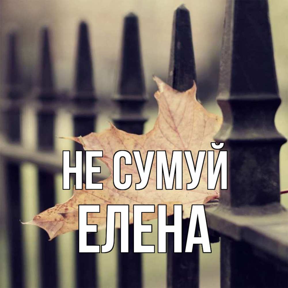 Открытка на каждый день з підписом, Елена Не сумуй лист клена Прикольна листівка з побажанням онлайн скачати безкоштовно 