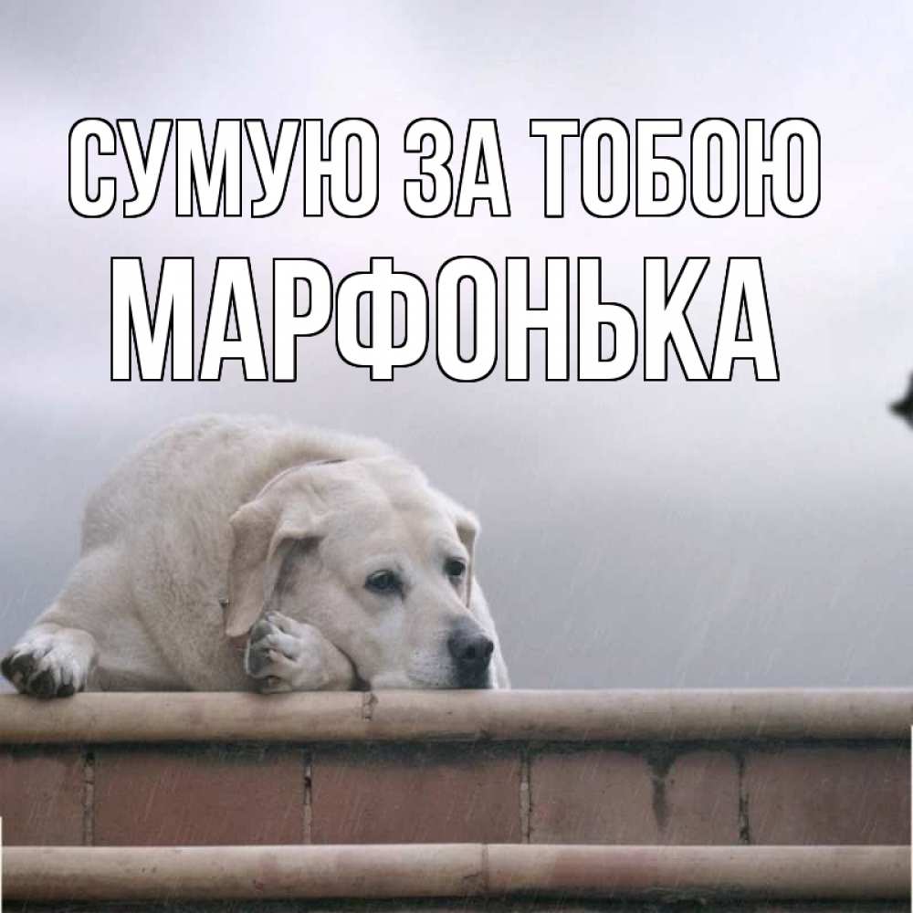 Открытка на каждый день з підписом, Марфонька Сумую за тобою ждет Прикольна листівка з побажанням онлайн скачати безкоштовно 