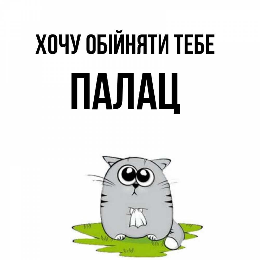 Открытка на каждый день з підписом, Палац Хочу обійняти тебе котик теребит платочек сидя на травке Прикольна листівка з побажанням онлайн скачати безкоштовно 