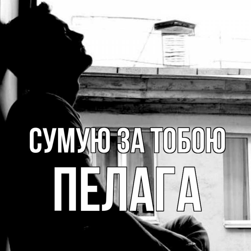 Открытка на каждый день з підписом, Пелага Сумую за тобою скучно ему Прикольна листівка з побажанням онлайн скачати безкоштовно 