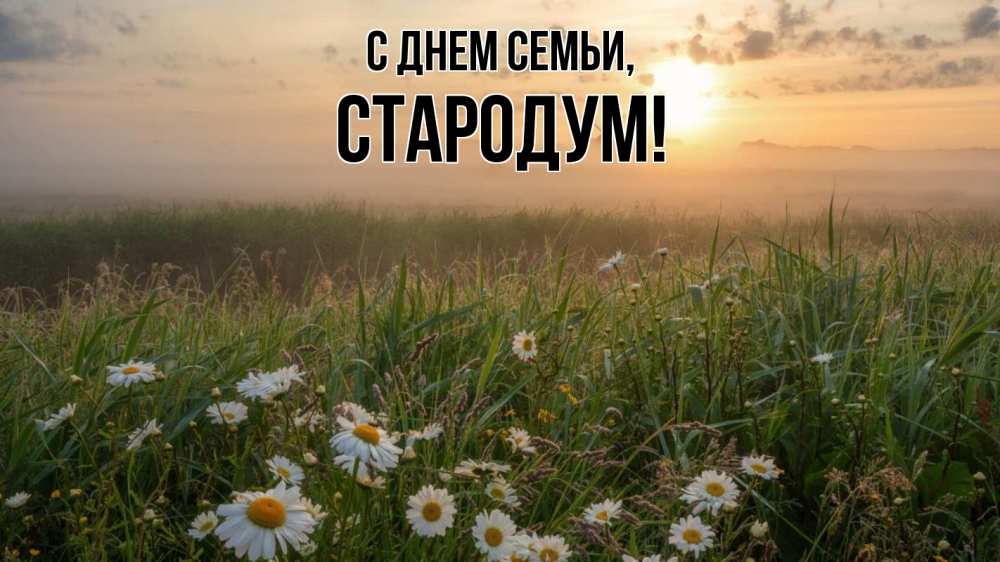 Открытка на каждый день з підписом, Стародум С днем семьи с днем семьи Прикольна листівка з побажанням онлайн скачати безкоштовно 