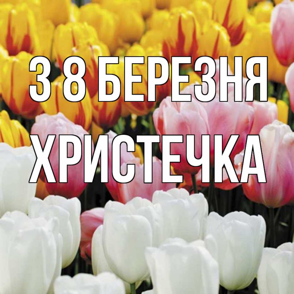 Открытка на каждый день з підписом, Христечка З 8 БЕРЕЗНЯ разноцветные цветы Прикольна листівка з побажанням онлайн скачати безкоштовно 