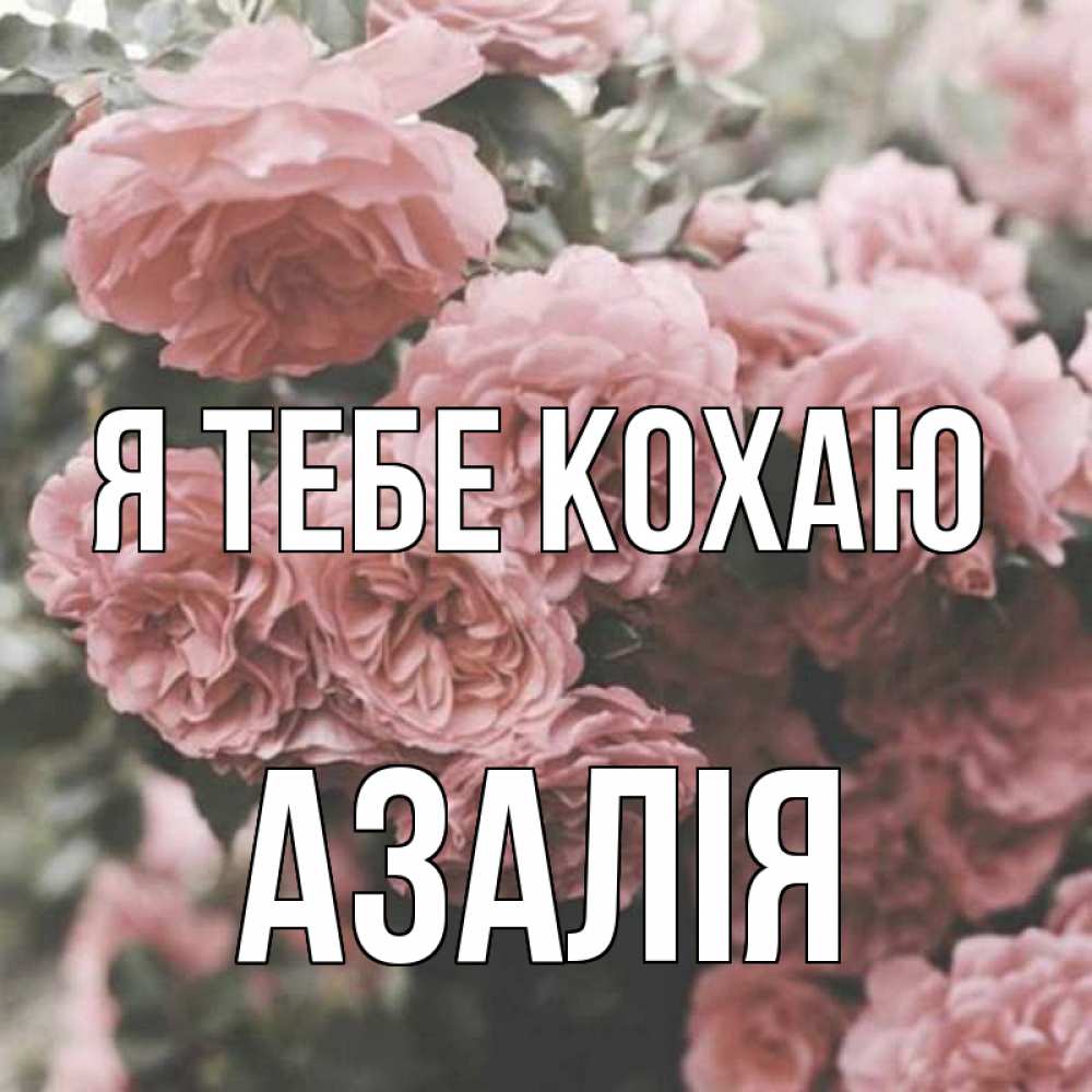 Открытка на каждый день з підписом, Азалія Я тебе кохаю розы 3 Прикольна листівка з побажанням онлайн скачати безкоштовно 