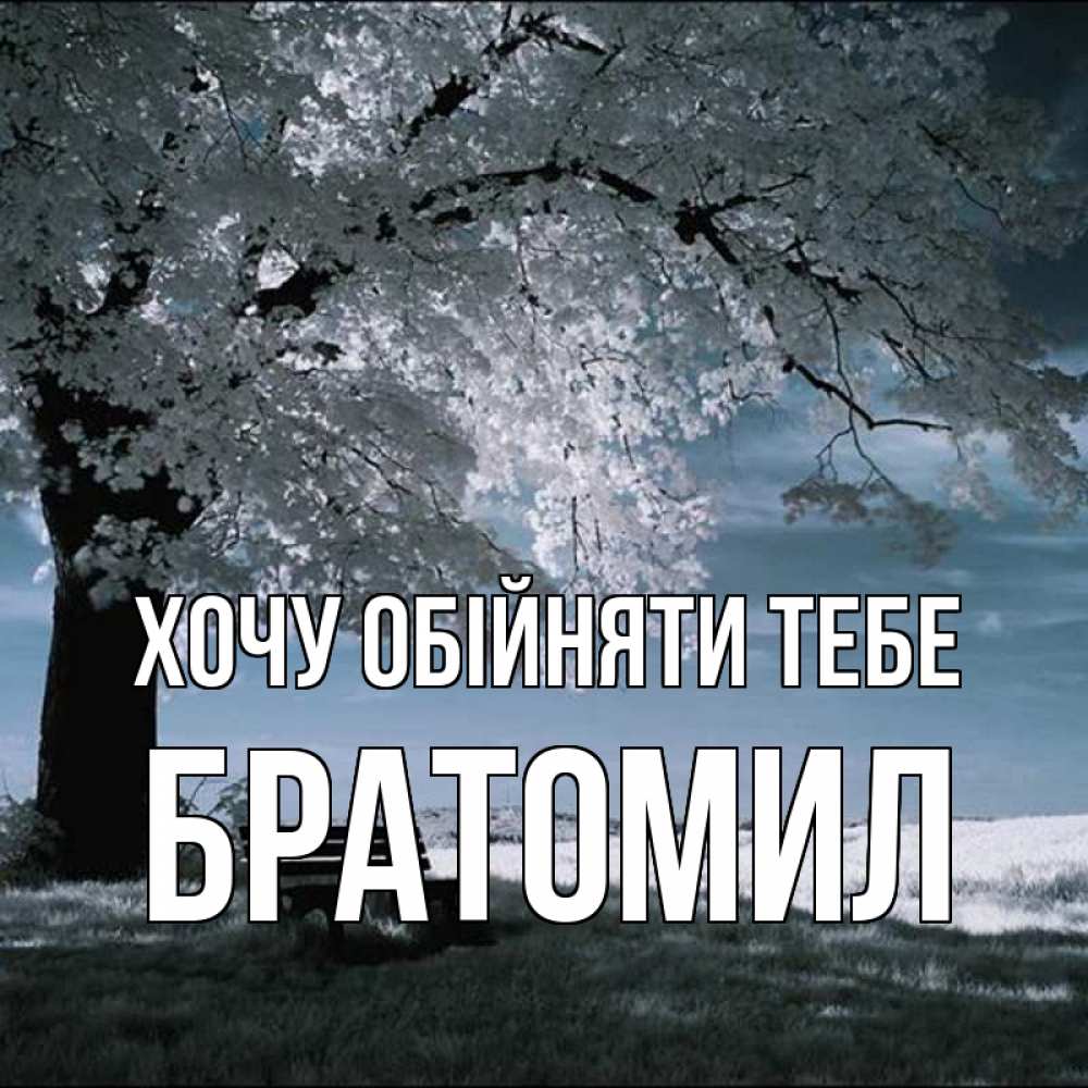 Открытка на каждый день з підписом, Братомил Хочу обійняти тебе дерево Прикольна листівка з побажанням онлайн скачати безкоштовно 