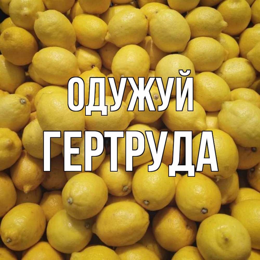 Открытка на каждый день з підписом, Гертруда Одужуй это точно поможет Прикольна листівка з побажанням онлайн скачати безкоштовно 