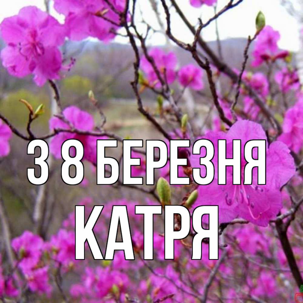 Открытка на каждый день з підписом, Катря З 8 БЕРЕЗНЯ международный женский день Прикольна листівка з побажанням онлайн скачати безкоштовно 