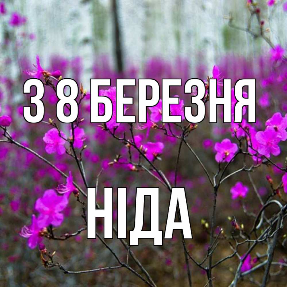 Открытка на каждый день з підписом, Ніда З 8 БЕРЕЗНЯ дикие цветы Прикольна листівка з побажанням онлайн скачати безкоштовно 
