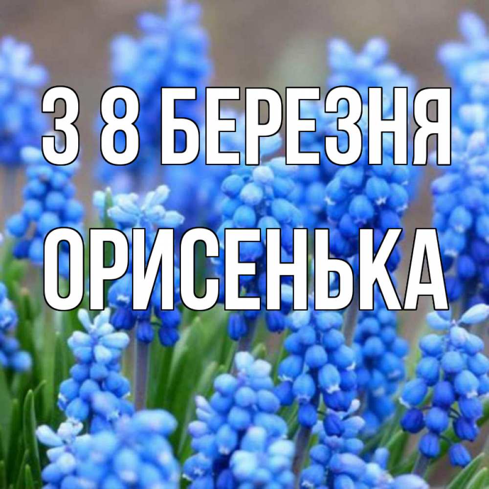 Открытка на каждый день з підписом, Орисенька З 8 БЕРЕЗНЯ Поздравительная открытка для женщин с цветами на праздничную дату Прикольна листівка з побажанням онлайн скачати безкоштовно 