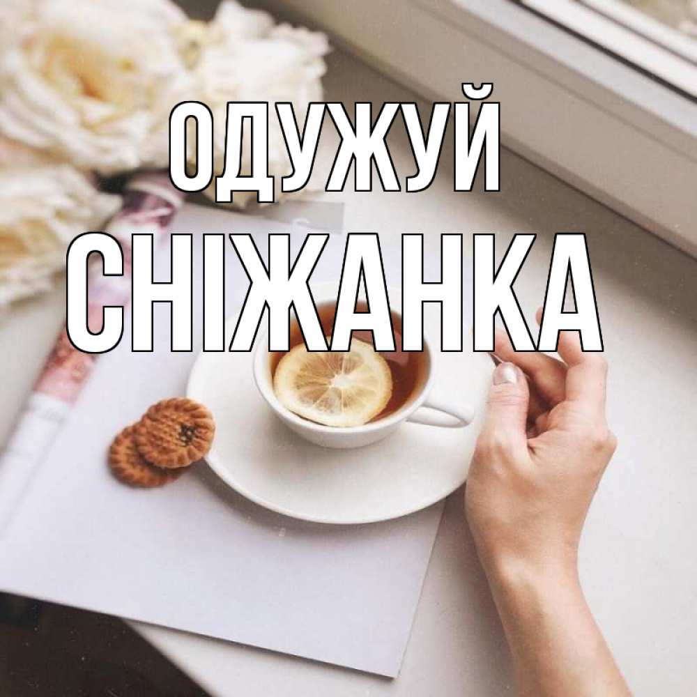 Открытка на каждый день з підписом, Сніжанка Одужуй и печеньками Прикольна листівка з побажанням онлайн скачати безкоштовно 