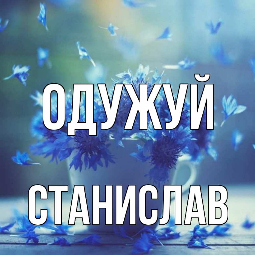Открытка на каждый день з підписом, Станислав Одужуй кружка с зельем и цветами Прикольна листівка з побажанням онлайн скачати безкоштовно 