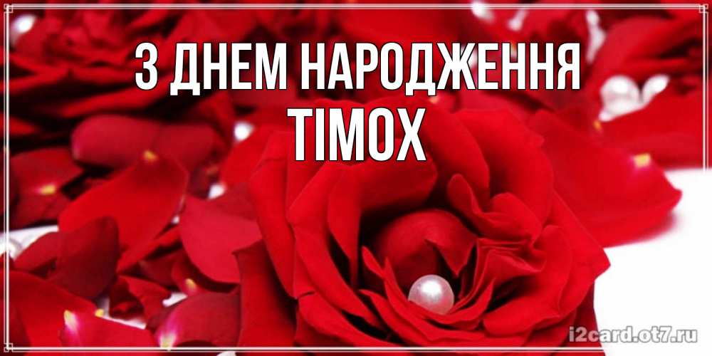Открытка на каждый день з підписом, Тімох З Днем народження роза с жемчужиной на открытке для любимых Прикольна листівка з побажанням онлайн скачати безкоштовно 