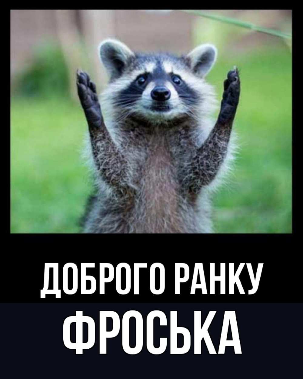 Открытка на каждый день з підписом, Фроська Доброго ранку хорошее настроение утречком Прикольна листівка з побажанням онлайн скачати безкоштовно 