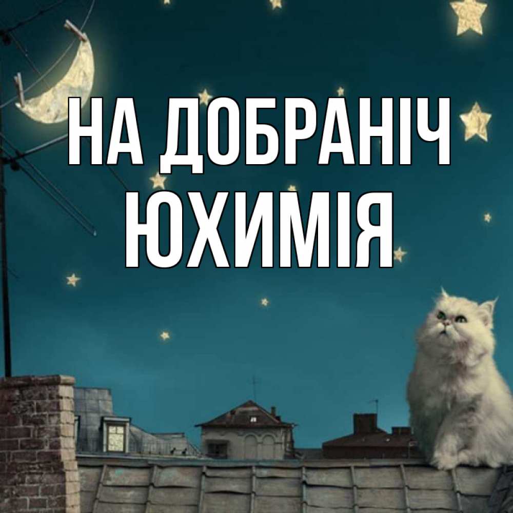 Открытка на каждый день з підписом, Юхимія На добраніч белый кот сидит на крыше Прикольна листівка з побажанням онлайн скачати безкоштовно 