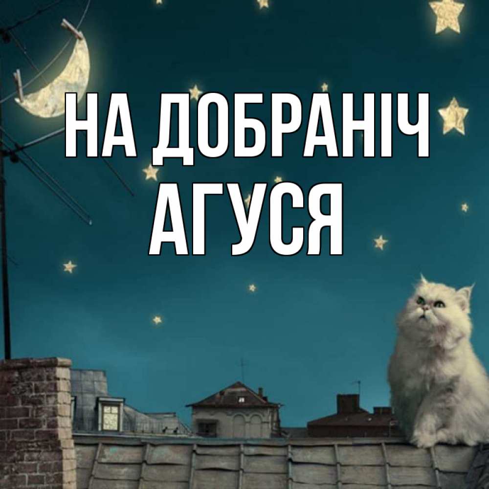 Открытка на каждый день з підписом, Агуся На добраніч белый кот сидит на крыше Прикольна листівка з побажанням онлайн скачати безкоштовно 