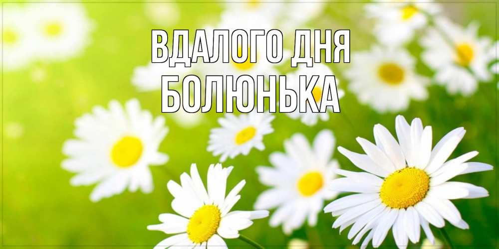 Открытка на каждый день з підписом, Болюнька Вдалого дня открытка с ромашками на зеленом фоне Прикольна листівка з побажанням онлайн скачати безкоштовно 