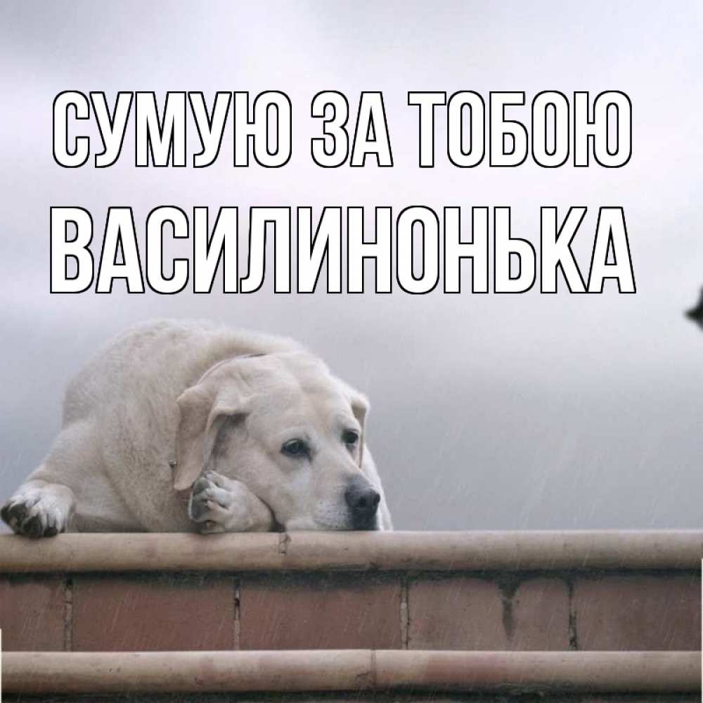 Открытка на каждый день з підписом, Василинонька Сумую за тобою ждет Прикольна листівка з побажанням онлайн скачати безкоштовно 