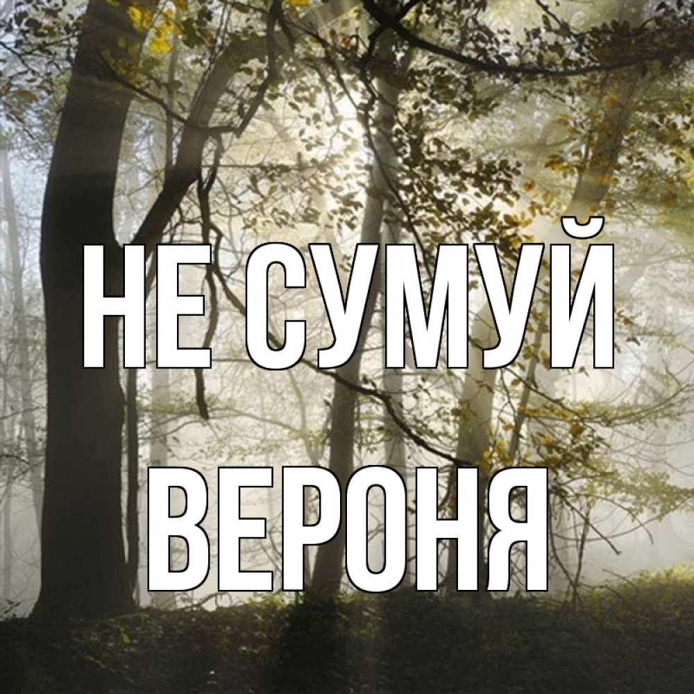 Открытка на каждый день з підписом, Вероня Не сумуй лес и свет Прикольна листівка з побажанням онлайн скачати безкоштовно 