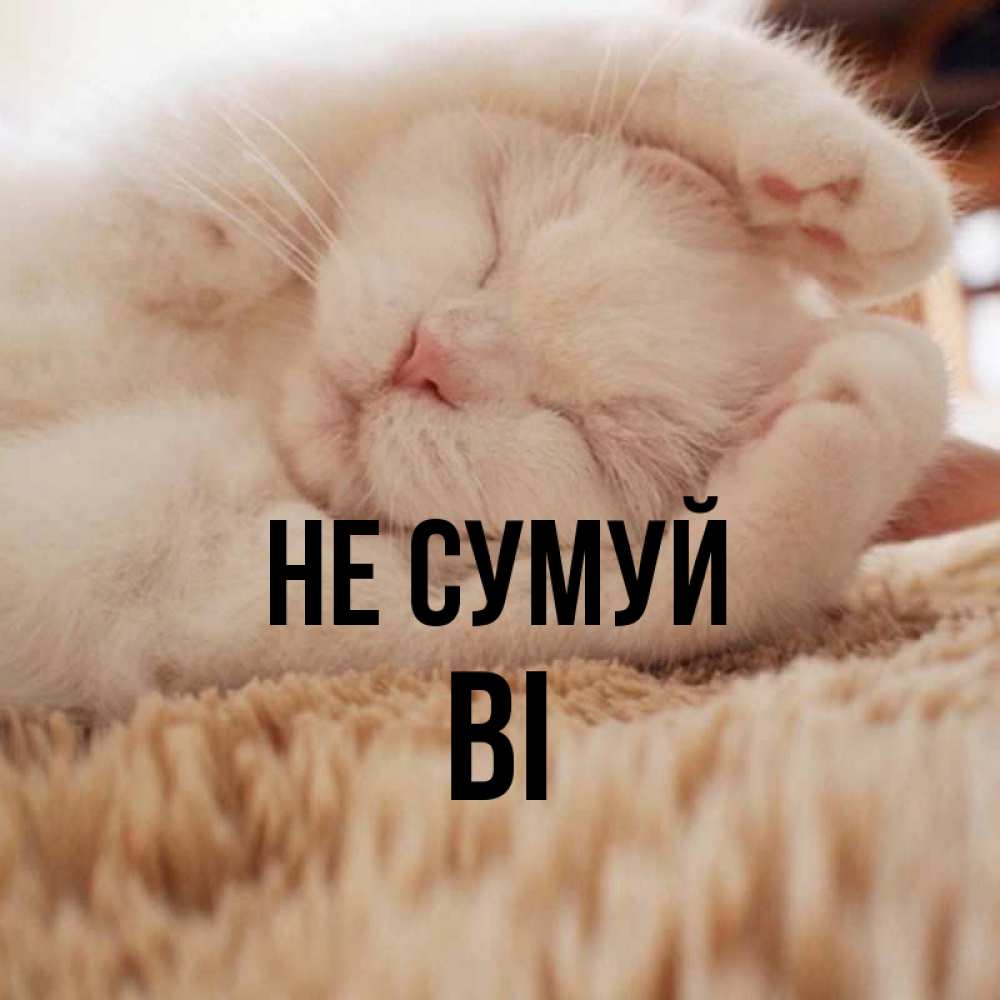 Открытка на каждый день з підписом, Ві Не сумуй Котенок спит Прикольна листівка з побажанням онлайн скачати безкоштовно 