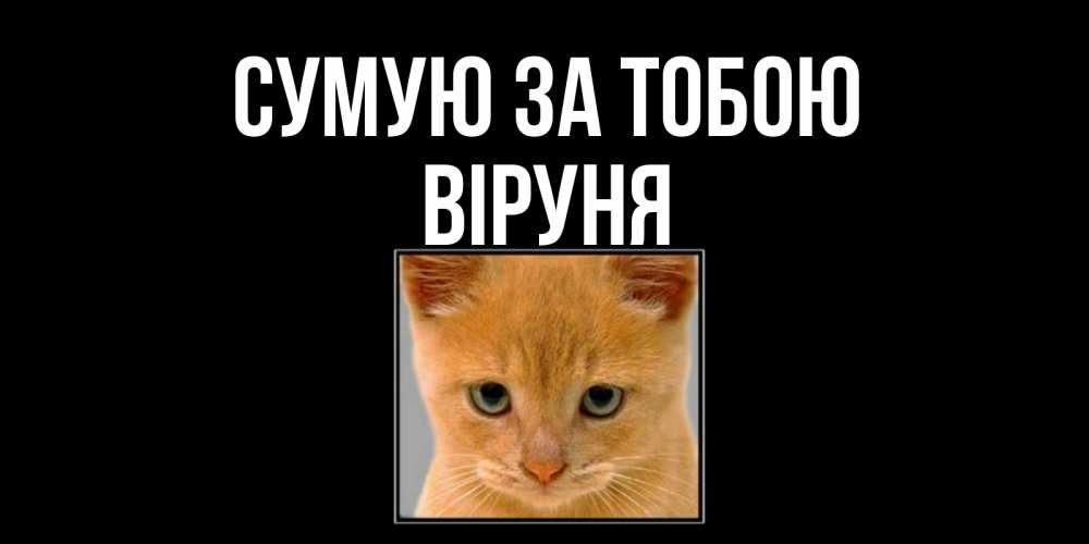 Открытка на каждый день з підписом, Віруня Сумую за тобою открытки рыжий котенок скучает по тебе Прикольна листівка з побажанням онлайн скачати безкоштовно 