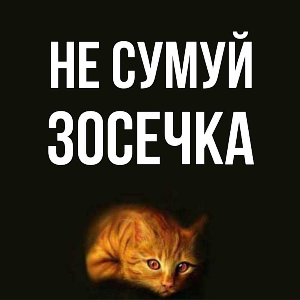Открытка на каждый день з підписом, Зосечка Не сумуй лежащий кот в темноте Прикольна листівка з побажанням онлайн скачати безкоштовно 