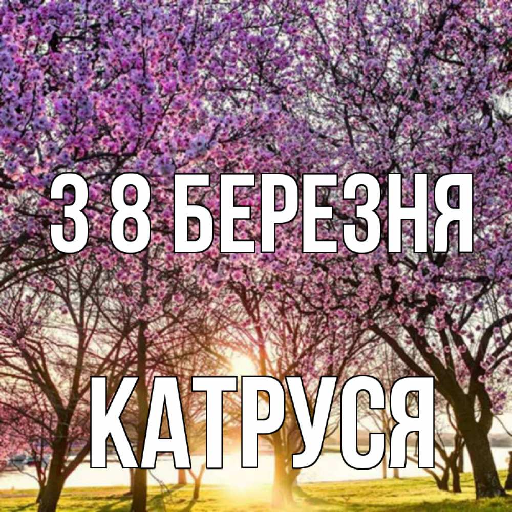 Открытка на каждый день з підписом, Катруся З 8 БЕРЕЗНЯ международный женский день Прикольна листівка з побажанням онлайн скачати безкоштовно 