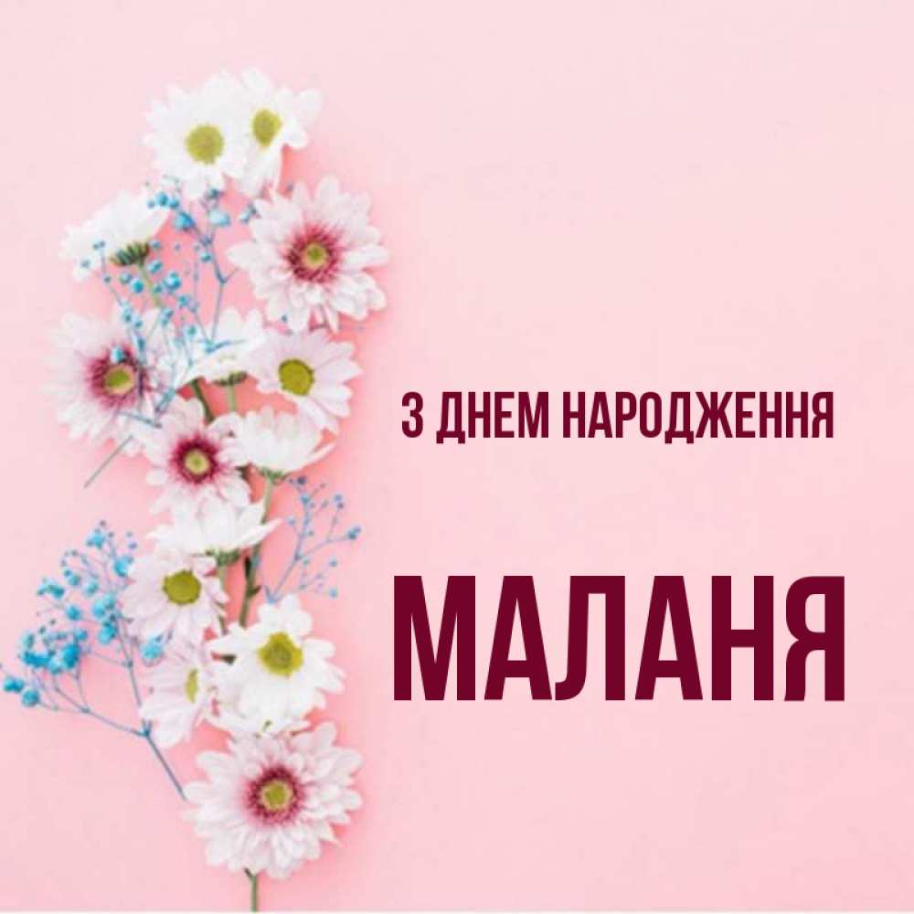 Открытка на каждый день з підписом, Маланя З Днем народження Родная моя с днем рождения тебя картинка с цветами белыми и голубыми Прикольна листівка з побажанням онлайн скачати безкоштовно 