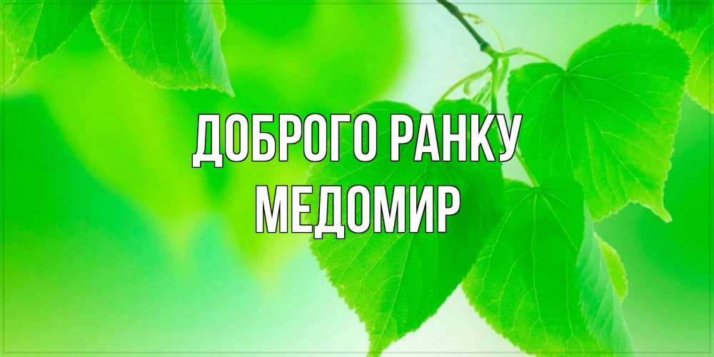 Открытка на каждый день з підписом, Медомир Доброго ранку доброе утро с березовыми листьями Прикольна листівка з побажанням онлайн скачати безкоштовно 
