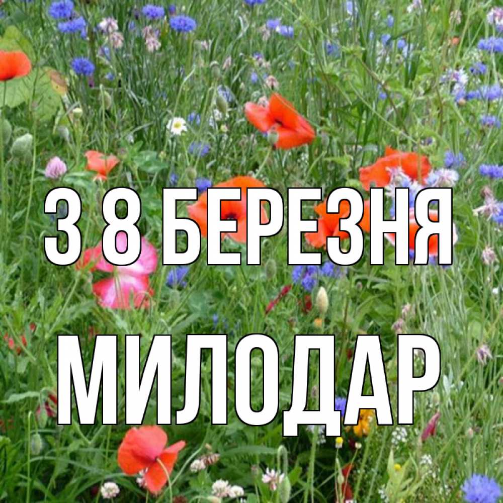 Открытка на каждый день з підписом, Милодар З 8 БЕРЕЗНЯ международный женский день 4 Прикольна листівка з побажанням онлайн скачати безкоштовно 