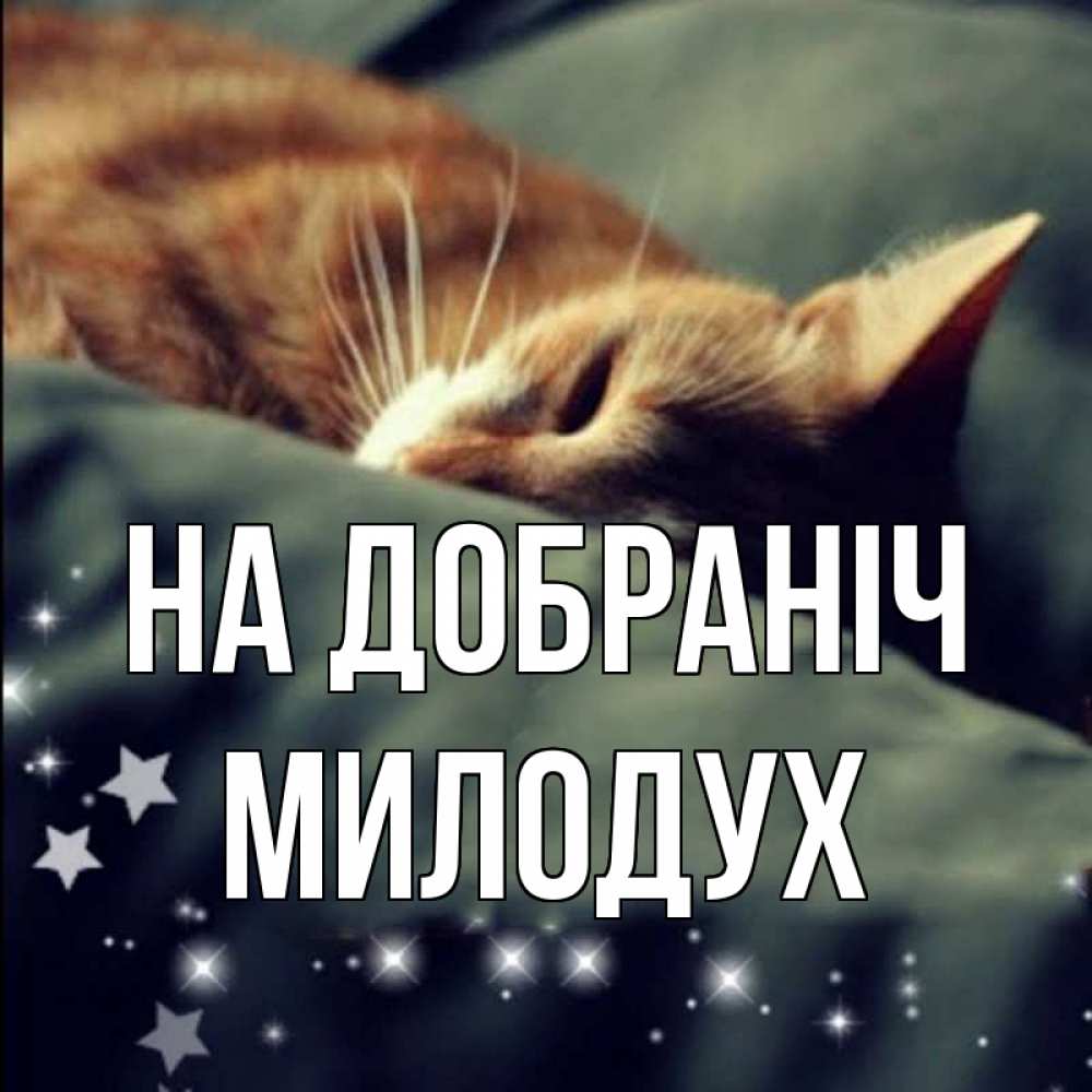 Открытка на каждый день з підписом, Милодух На добраніч кроватка Прикольна листівка з побажанням онлайн скачати безкоштовно 
