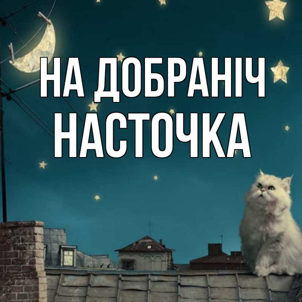 Открытка на каждый день з підписом, Насточка На добраніч белый кот сидит на крыше Прикольна листівка з побажанням онлайн скачати безкоштовно 