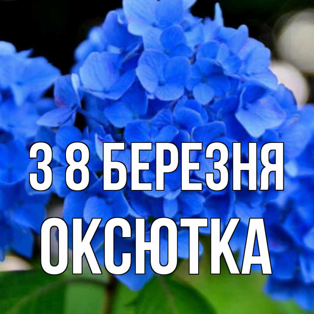 Открытка на каждый день з підписом, Оксютка З 8 БЕРЕЗНЯ синие цветы Прикольна листівка з побажанням онлайн скачати безкоштовно 
