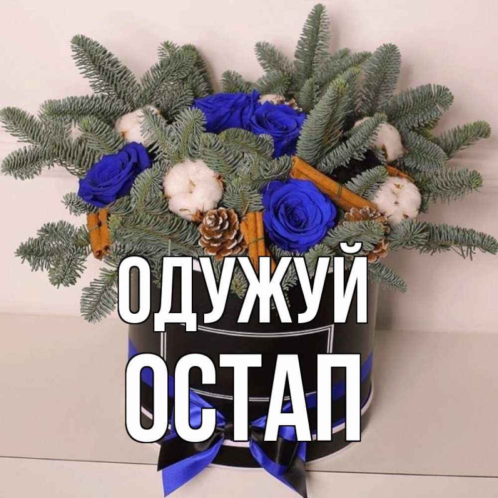 Открытка на каждый день з підписом, Остап Одужуй короче кто то загрузил эти шишки Прикольна листівка з побажанням онлайн скачати безкоштовно 