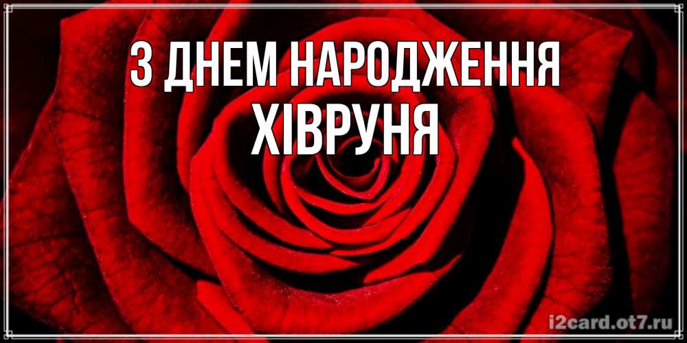 Открытка на каждый день з підписом, Хівруня З Днем народження алая роза Прикольна листівка з побажанням онлайн скачати безкоштовно 