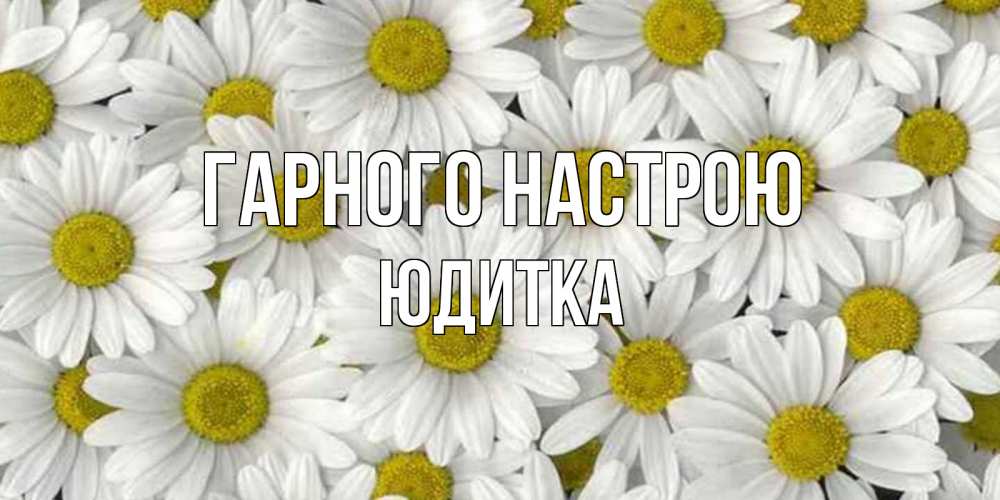 Открытка на каждый день з підписом, Юдитка Гарного настрою поляна ромашек Прикольна листівка з побажанням онлайн скачати безкоштовно 