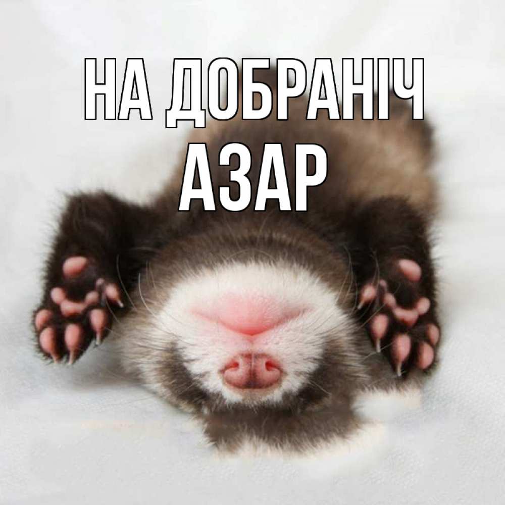 Открытка на каждый день з підписом, Азар На добраніч зверек Прикольна листівка з побажанням онлайн скачати безкоштовно 