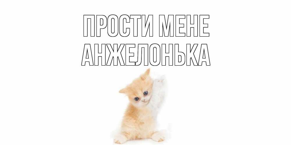 Открытка на каждый день з підписом, Анжелонька Прости мене кот Прикольна листівка з побажанням онлайн скачати безкоштовно 