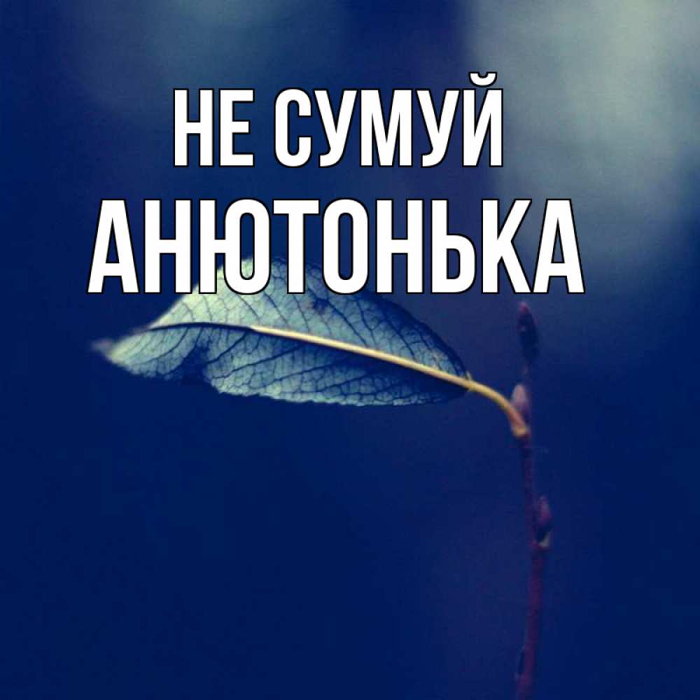 Открытка на каждый день з підписом, Анютонька Не сумуй растение Прикольна листівка з побажанням онлайн скачати безкоштовно 