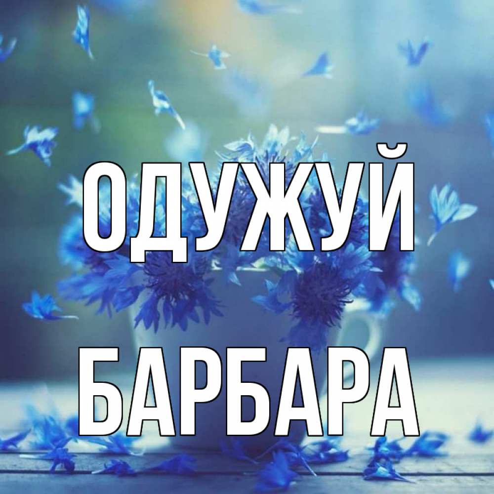 Открытка на каждый день з підписом, Барбара Одужуй кружка с зельем и цветами Прикольна листівка з побажанням онлайн скачати безкоштовно 