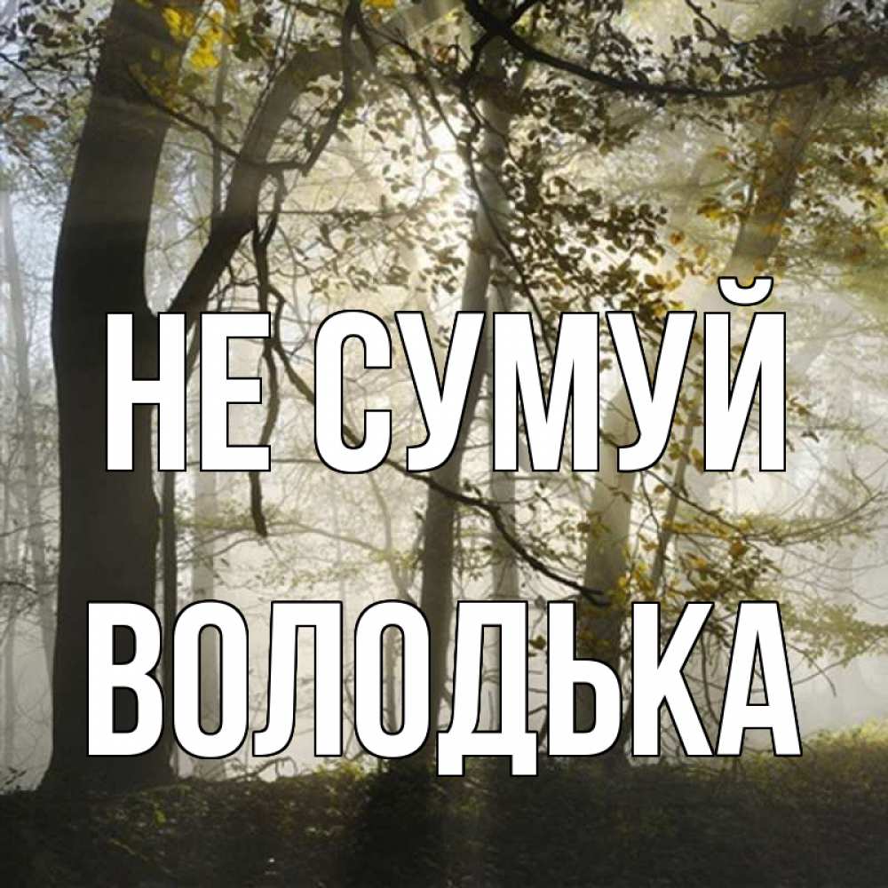Открытка на каждый день з підписом, Володька Не сумуй лес и свет Прикольна листівка з побажанням онлайн скачати безкоштовно 