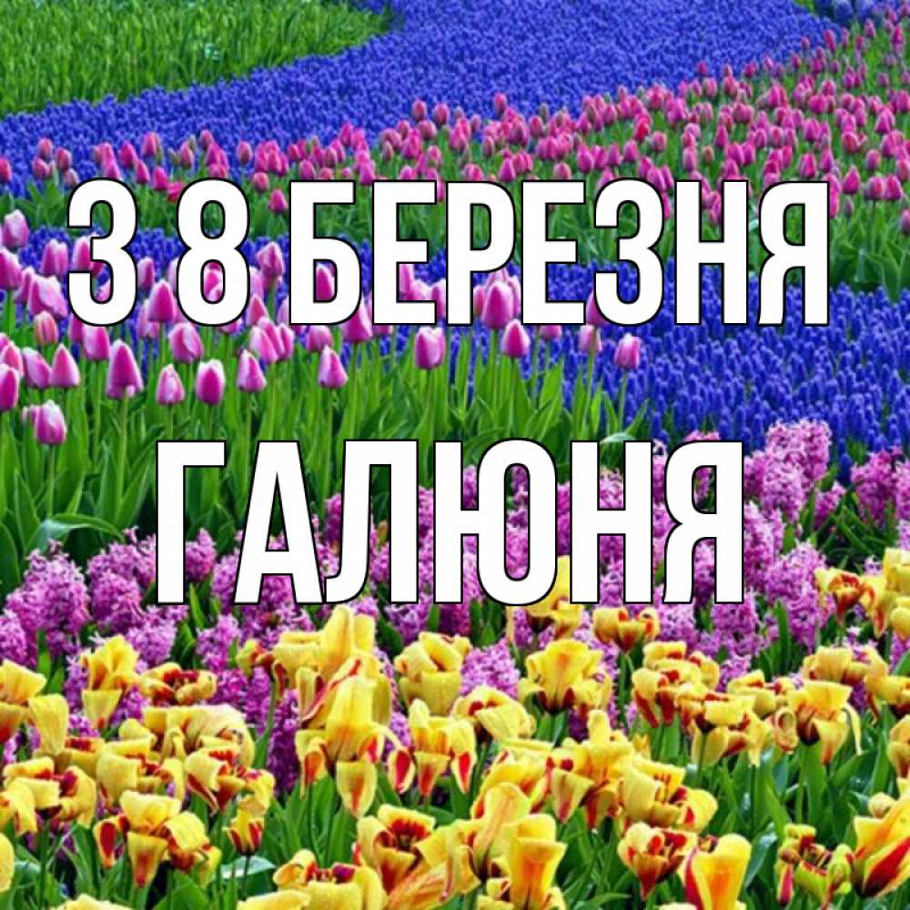 Открытка на каждый день з підписом, Галюня З 8 БЕРЕЗНЯ цветы Прикольна листівка з побажанням онлайн скачати безкоштовно 