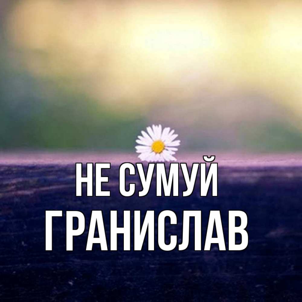Открытка на каждый день з підписом, Гранислав Не сумуй красота Прикольна листівка з побажанням онлайн скачати безкоштовно 