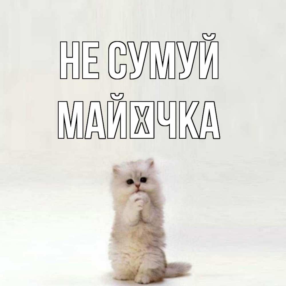 Открытка на каждый день з підписом, Майєчка Не сумуй грустный кот Прикольна листівка з побажанням онлайн скачати безкоштовно 