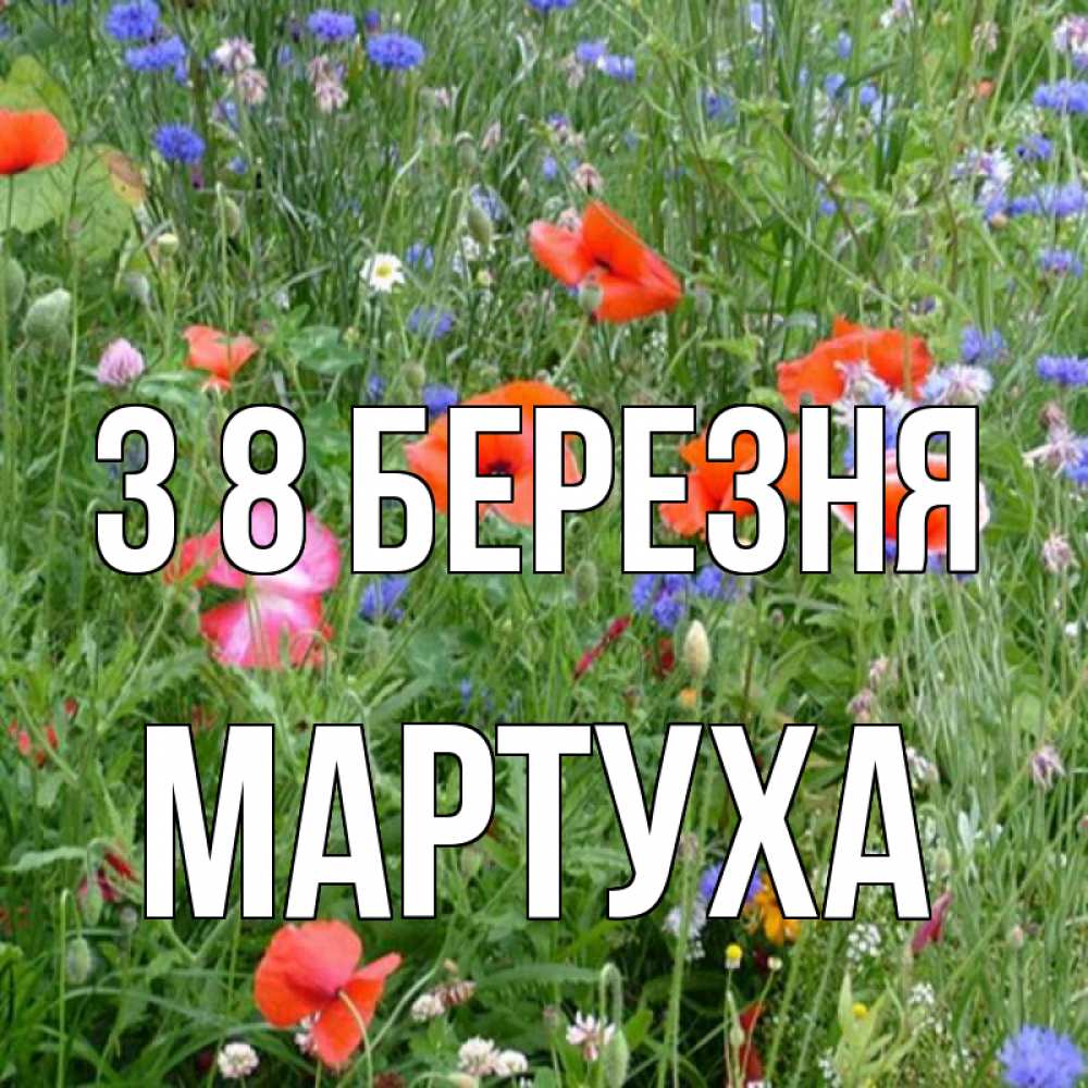 Открытка на каждый день з підписом, Мартуха З 8 БЕРЕЗНЯ международный женский день 4 Прикольна листівка з побажанням онлайн скачати безкоштовно 