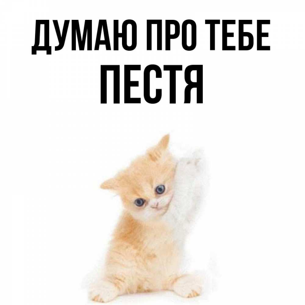 Открытка на каждый день з підписом, Пестя Думаю про тебе зверушки и милота Прикольна листівка з побажанням онлайн скачати безкоштовно 