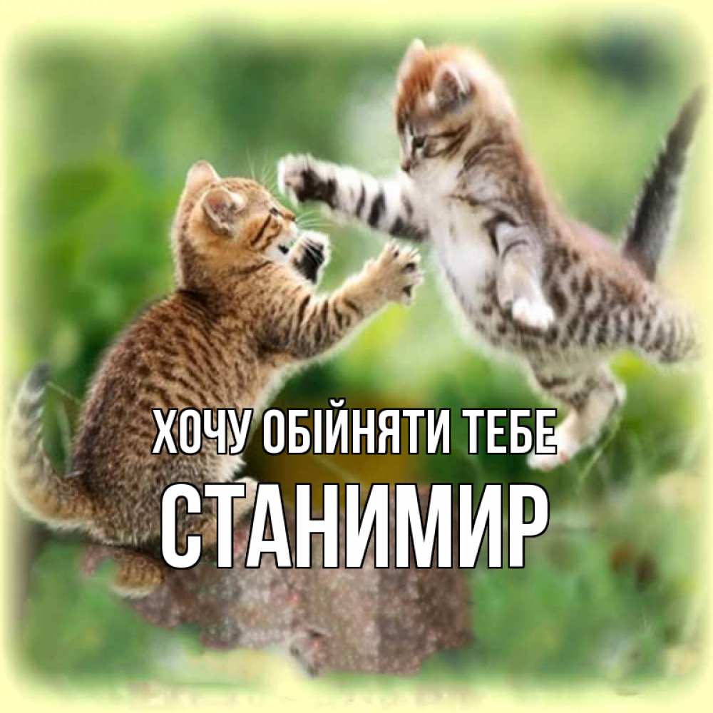 Открытка на каждый день з підписом, Станимир Хочу обійняти тебе игры котят Прикольна листівка з побажанням онлайн скачати безкоштовно 