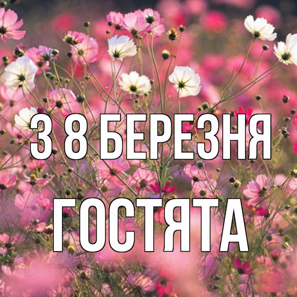 Открытка на каждый день з підписом, Гостята З 8 БЕРЕЗНЯ красиво 1 Прикольна листівка з побажанням онлайн скачати безкоштовно 