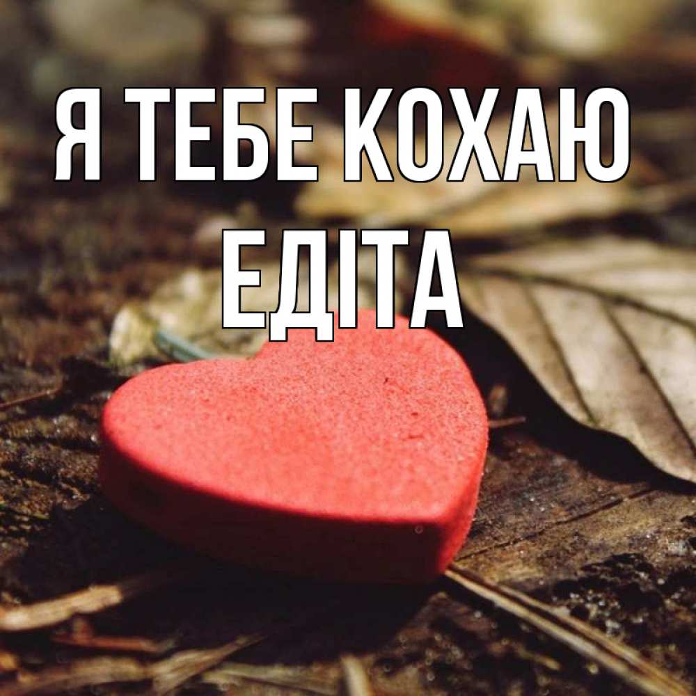 Открытка на каждый день з підписом, Едіта Я тебе кохаю листья деревье 4 Прикольна листівка з побажанням онлайн скачати безкоштовно 