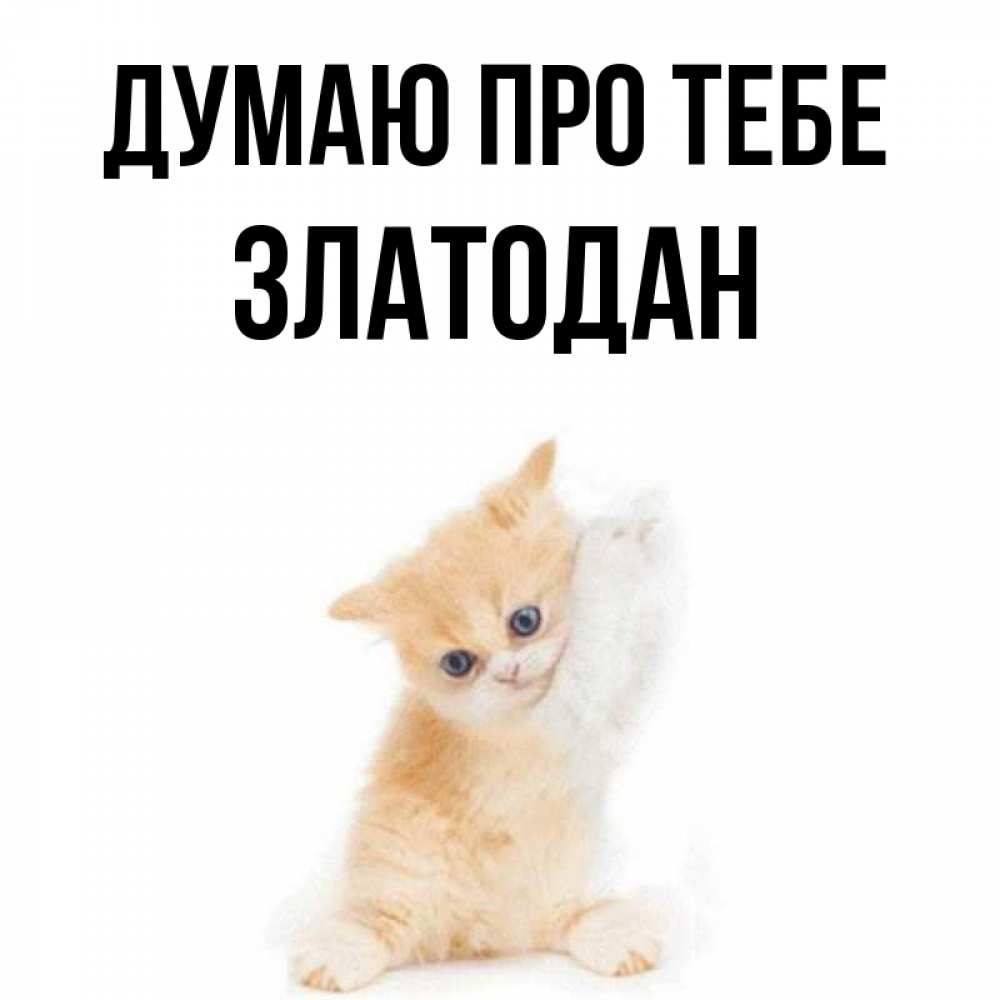 Открытка на каждый день з підписом, Златодан Думаю про тебе зверушки и милота Прикольна листівка з побажанням онлайн скачати безкоштовно 